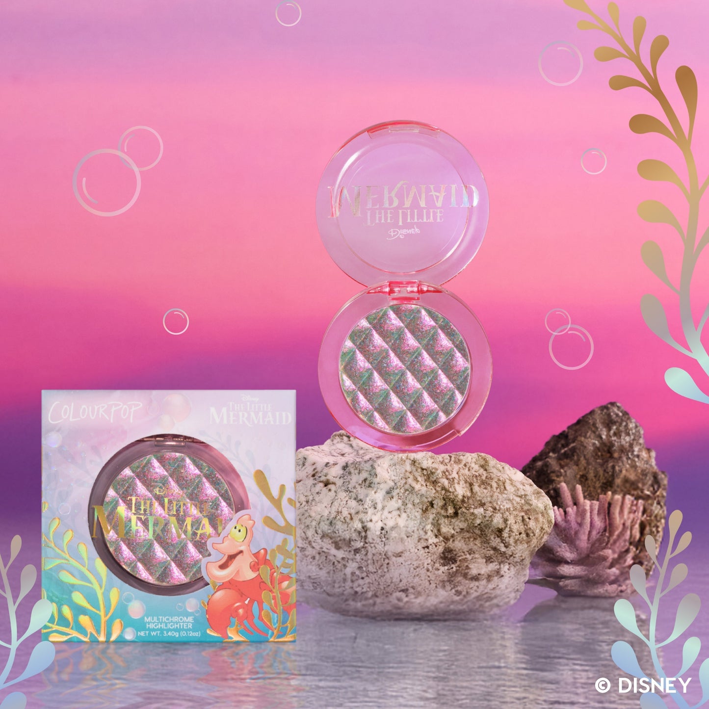 Soft Shell - US 4278